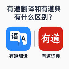 怎样解决有道翻译在墨水屏阅读器上残影的问题？