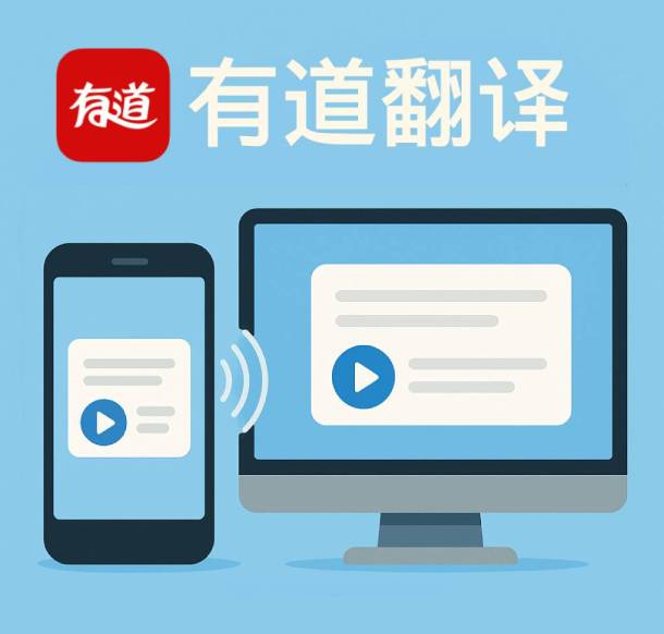 有道翻译支持翻译葡萄牙语的巴西法律条文吗？